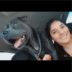 Meet your Posher, Carolina